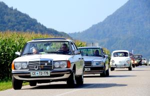 Srečanje starodobnikov